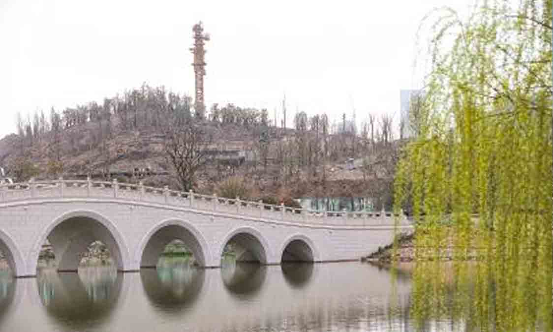 01-828.jpg