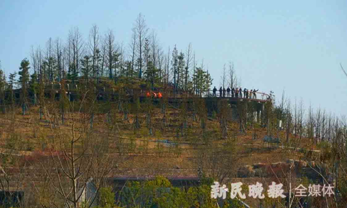 01-554.jpg