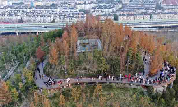 01-11.jpg